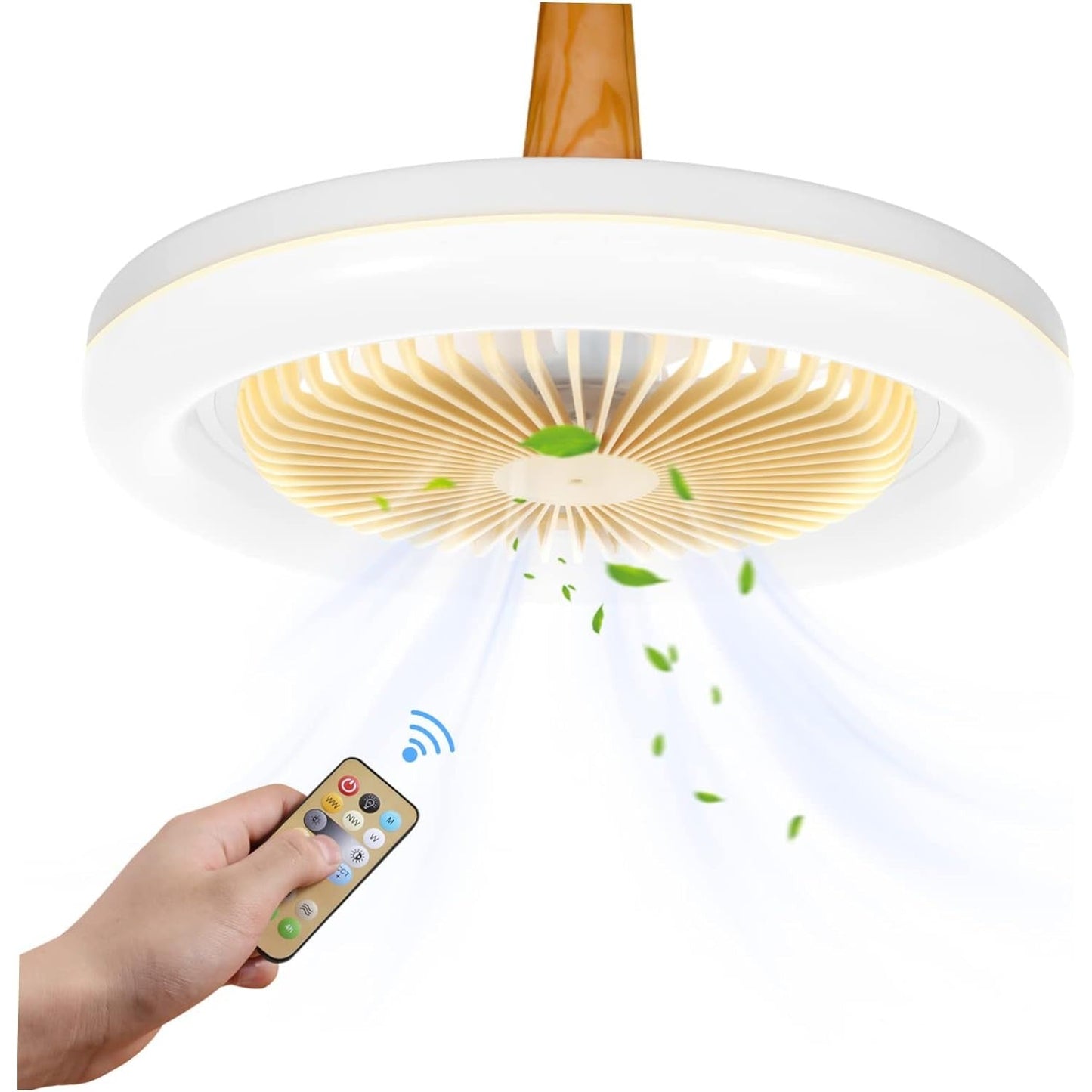 LED Ceiling Fan