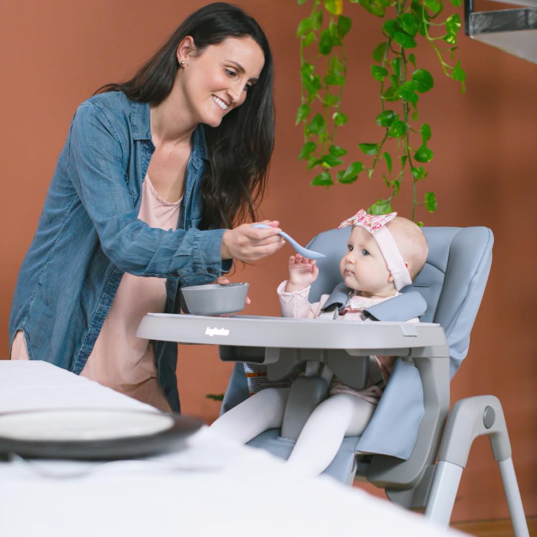 Inglesina My Time High Chair