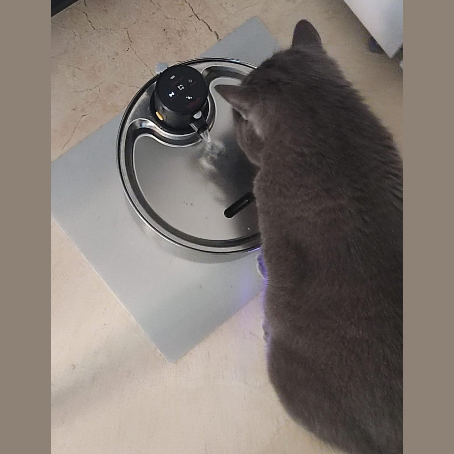Stainless Steel Water Fountain With Sensor