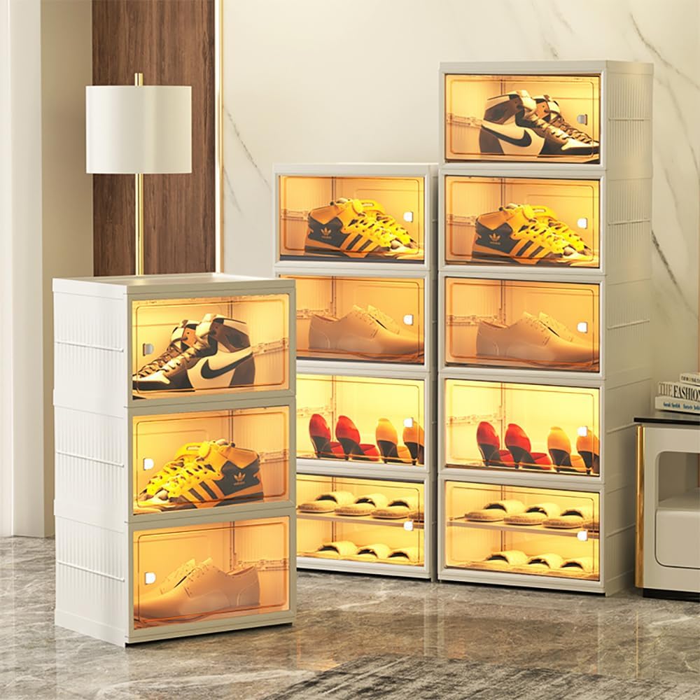 Modern Transparent Shoe Box