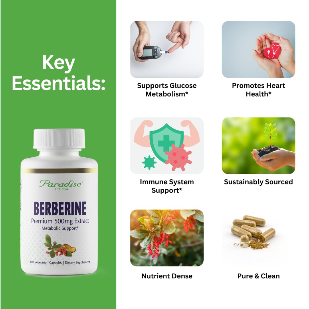 Paradise Herbs, Berberine Extract, 500 mg, Pure & Potent Berberine Supplement, Vegan, Non-GMO, Gluten Free, 180 Vegetarian Capsules - Medaid International