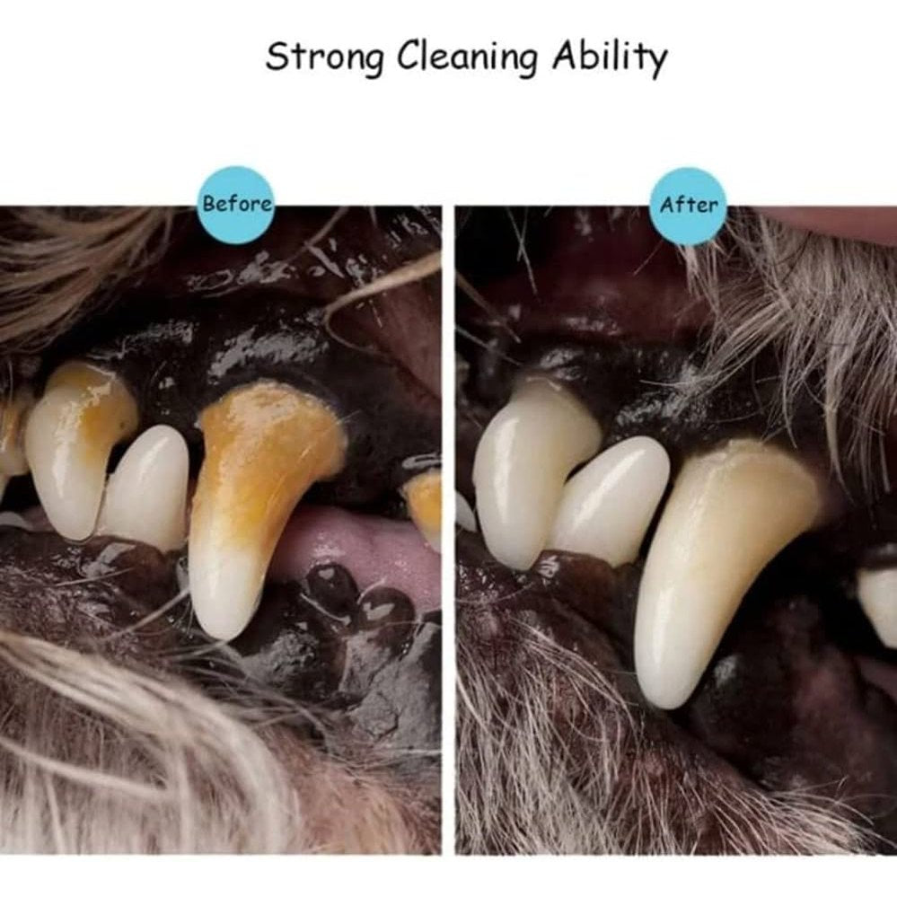 Pet Teeth Cleaning Kit