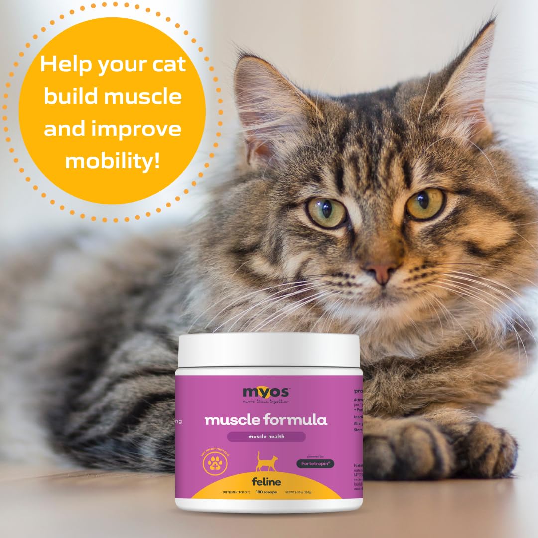 MYOS Feline Muscle Formula - Powered by Fortetropin for Senior Cats - Aids Weight Gain, Muscle Growth & Mobility Support - Natural, Cat Nutritional Supplement - 180 Servings - Medaid International