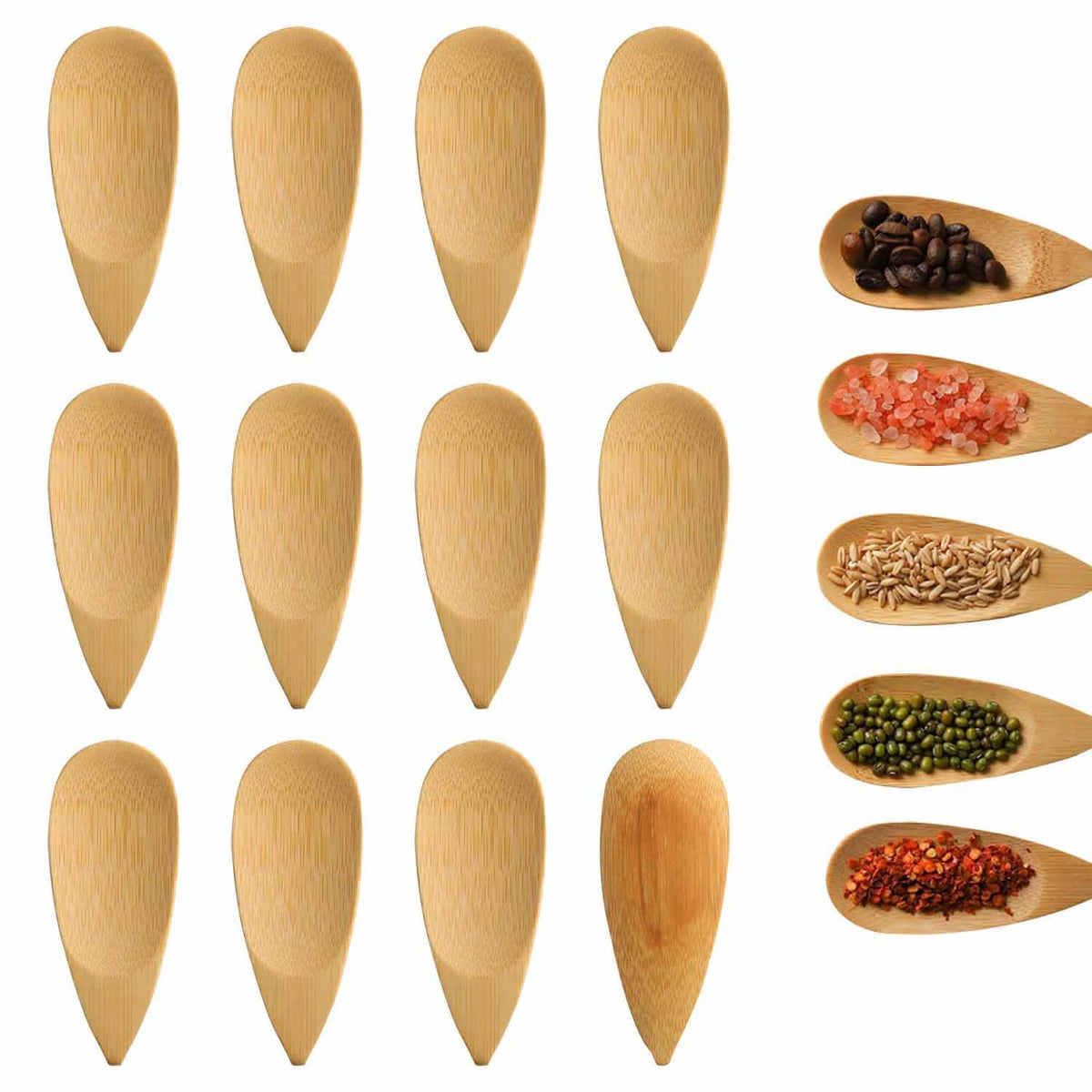 KASTWAVE Wooden Spoons, 12 PCS Small Salt Spoon with Short Handle Mini Wood Scoop for Condiments, Ice Cream, Tiny Wooden Serving Spoon