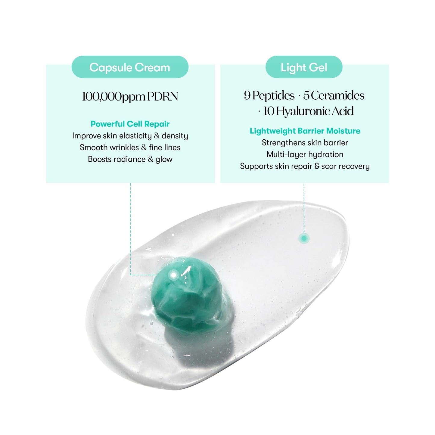 VT COSMETICS PDRN Capsule Cream 100, Hydrating Face Moisturizer with 100,000ppm PDRN, Hyaluronic Acid, 9 Peptides, Firming & Plumping Nourishing Cream, Korean Skin Care (1.69 fl. oz.) - Medaid International