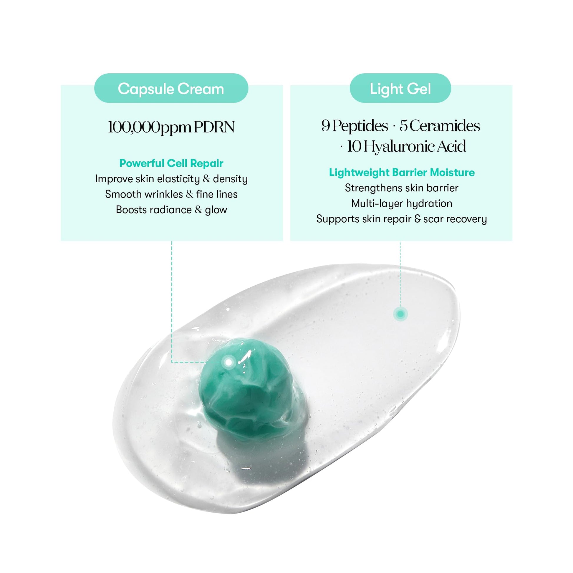 VT COSMETICS PDRN Capsule Cream 100, Hydrating Face Moisturizer with 100,000ppm PDRN, Hyaluronic Acid, 9 Peptides, Firming & Plumping Nourishing Cream, Korean Skin Care (1.69 fl. oz.) - Medaid International