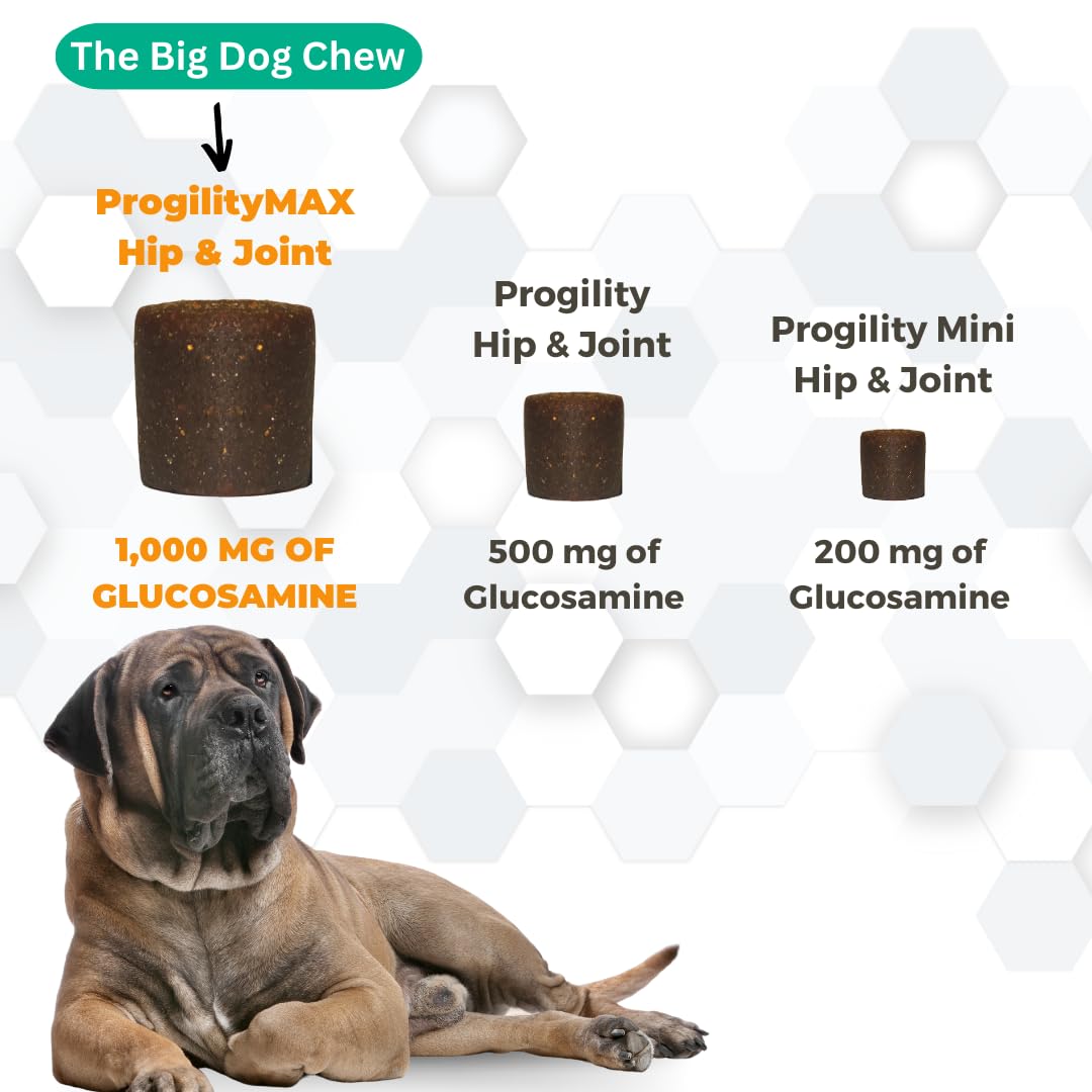 Progility Maximum Strength Hip & Joint Supplement for Large Dogs – Daily Mobility & Joint Support with Eggshell Membrane, Glucosamine, Chondroitin, & MSM, Soft Chews (60 Count)