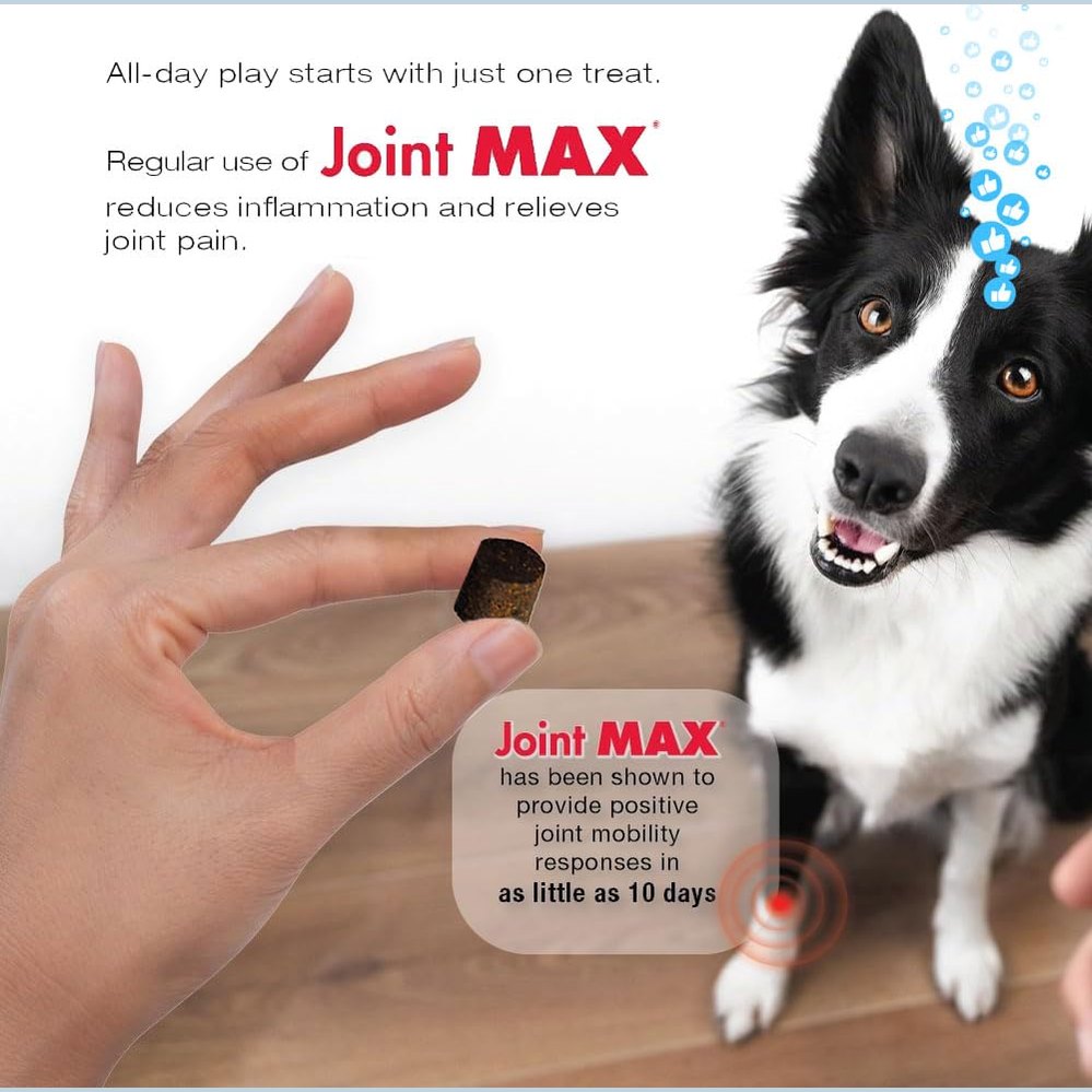 Joint MAX TS Joint Supplement Vet Formulated Pain & Inflammation Relief Treats Hip Dysplasia & Arthritis.Glucosamine, Chondroitin, Turmeric, MSM, HA, Creatine, Omega 3 EPA+DHA. All Dogs 240 Soft Chews