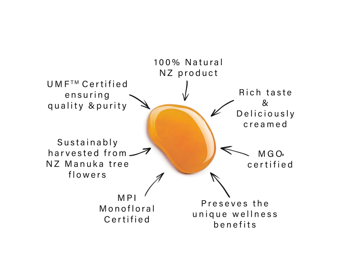 Manuka Honey UMF 10+ (MGO 261+) Pure New Zealand Honey, 1.1 lb (500g) - Medaid International
