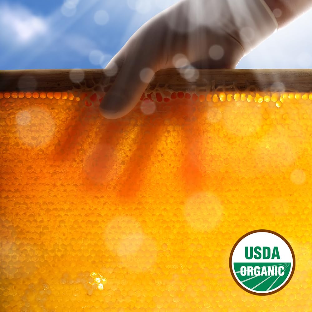 Glorybee, Organic Light & Mild Honey, 100% US Grade A Honey, 5lb - Medaid International