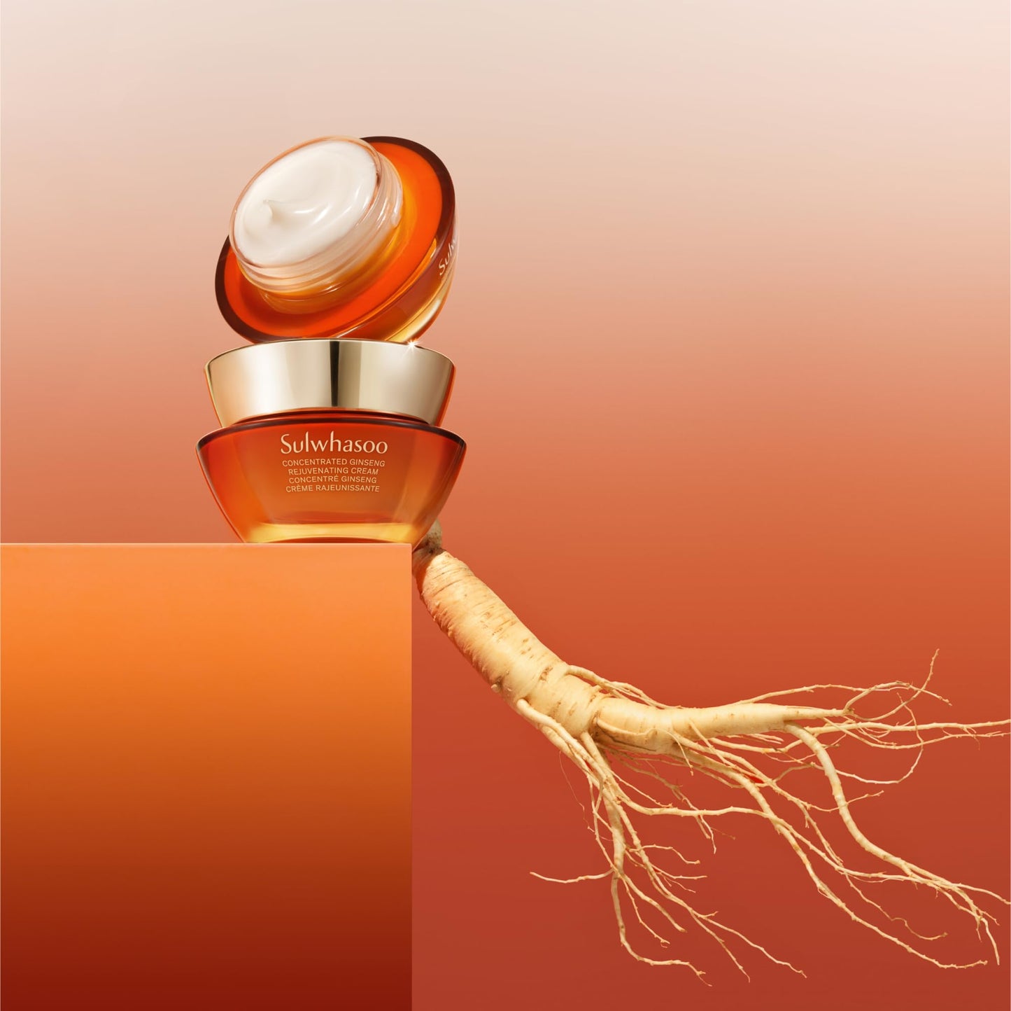 Sulwhasoo Concentrated Ginseng Rejuvenating Cream Mini –Visibly Plump Skin & Wrinkles | Anti-Aging Deep Hydration Moisturizer with Korean Ginseng Actives, Ginseng Peptide & Vitamin C | Korean Skincare - Medaid International