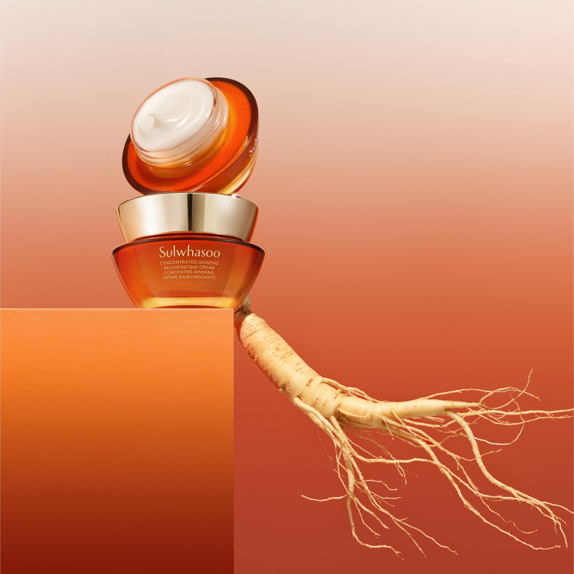 Sulwhasoo Concentrated Ginseng Rejuvenating Cream Mini –Visibly Plump Skin & Wrinkles | Anti-Aging Deep Hydration Moisturizer with Korean Ginseng Actives, Ginseng Peptide & Vitamin C | Korean Skincare - Medaid International