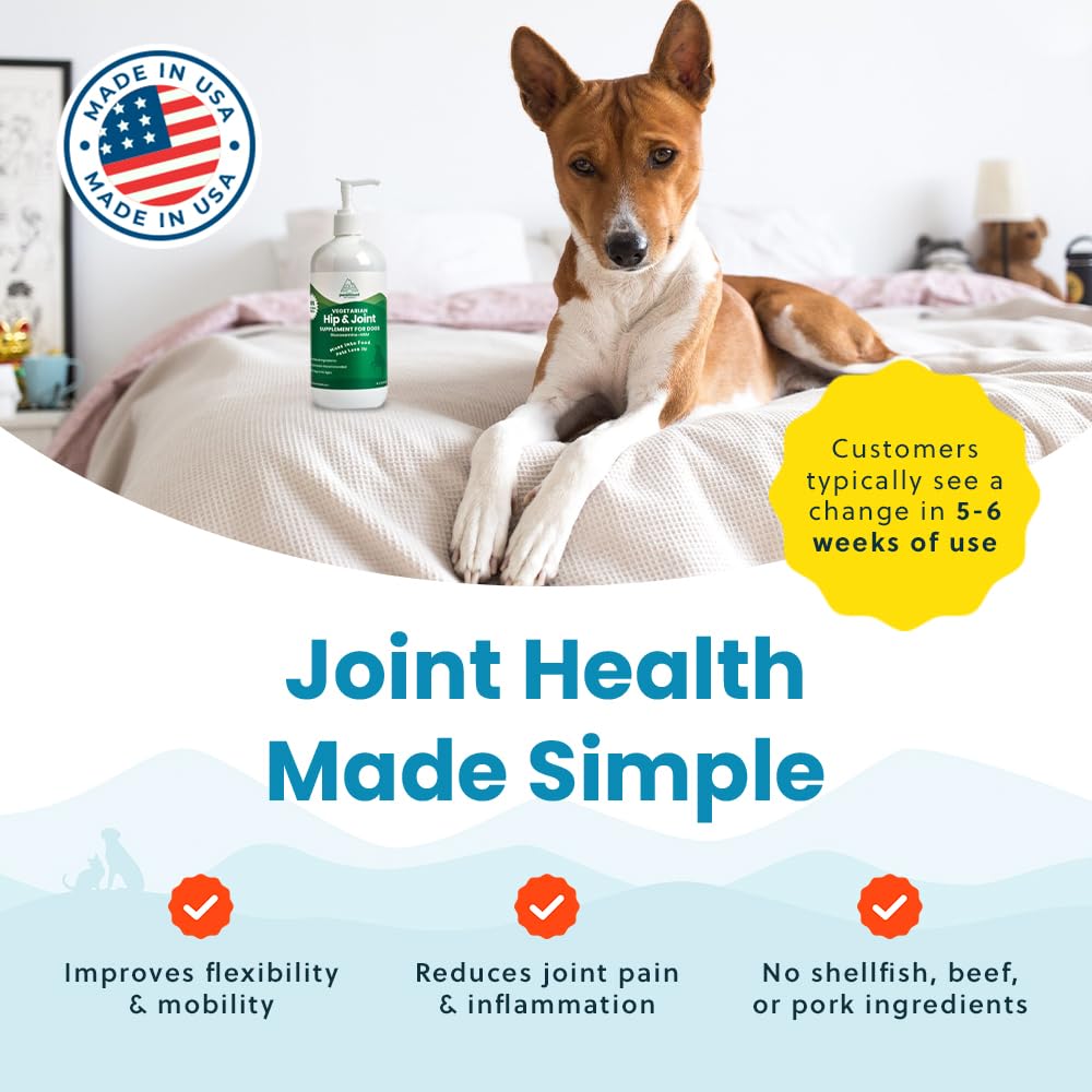 Paramount Pet Health Plant-Based Liquid Glucosamine for Dogs, 1600mg Joint Support Chondroitin, MSM & Omega 3-6-9, Shellfish-Free Dog Arthritis Supplement for Mobility & Flexibility Made in USA 16 oz