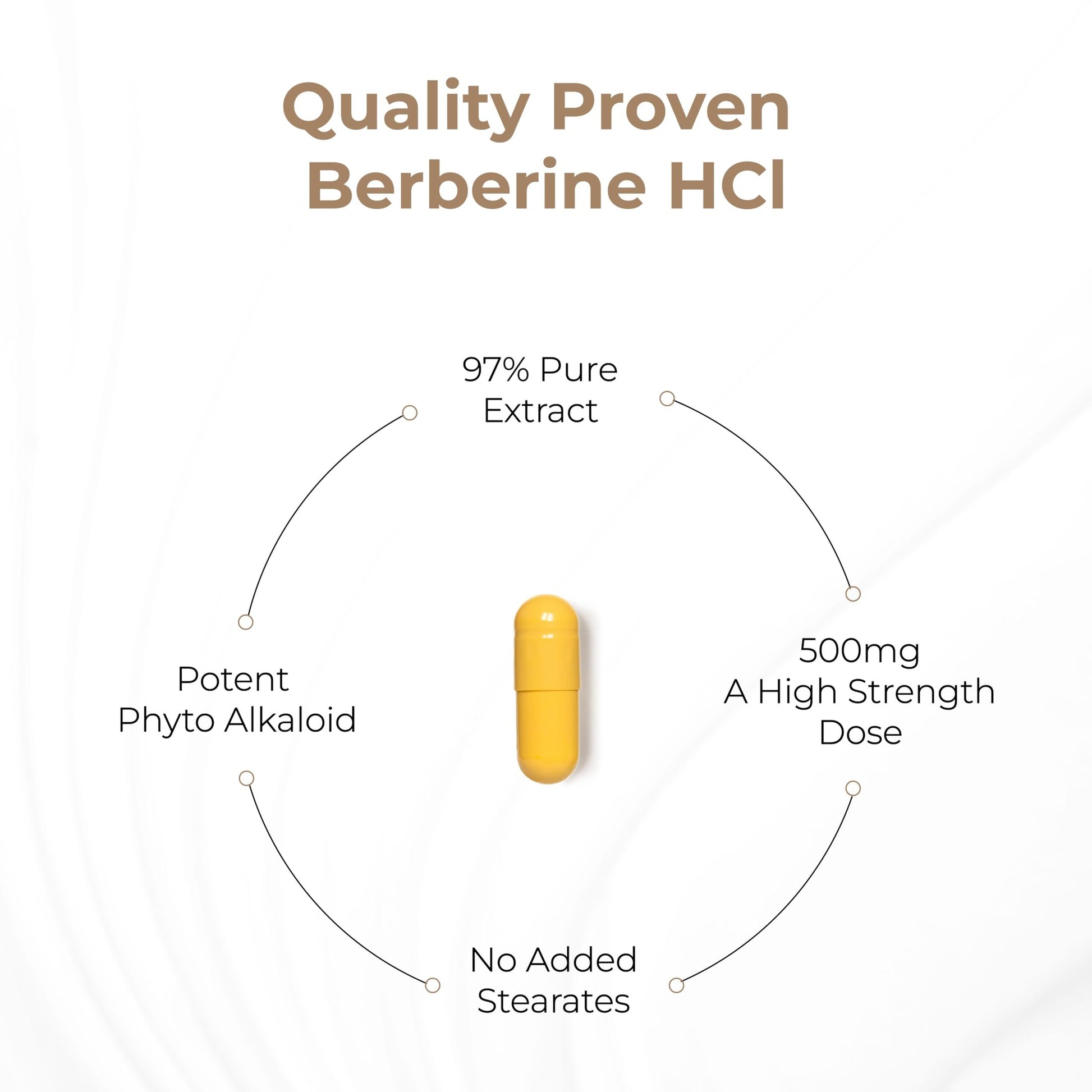 Sandhu's Berberine HCL Supplement 500mg per capsule with 97% Pure Berberis Aristata Extract| 60 count| Supports Weight Management & Healthy Energy levels| Made in USA, Vegetarian, Non-GMO, Gluten Free - Medaid International