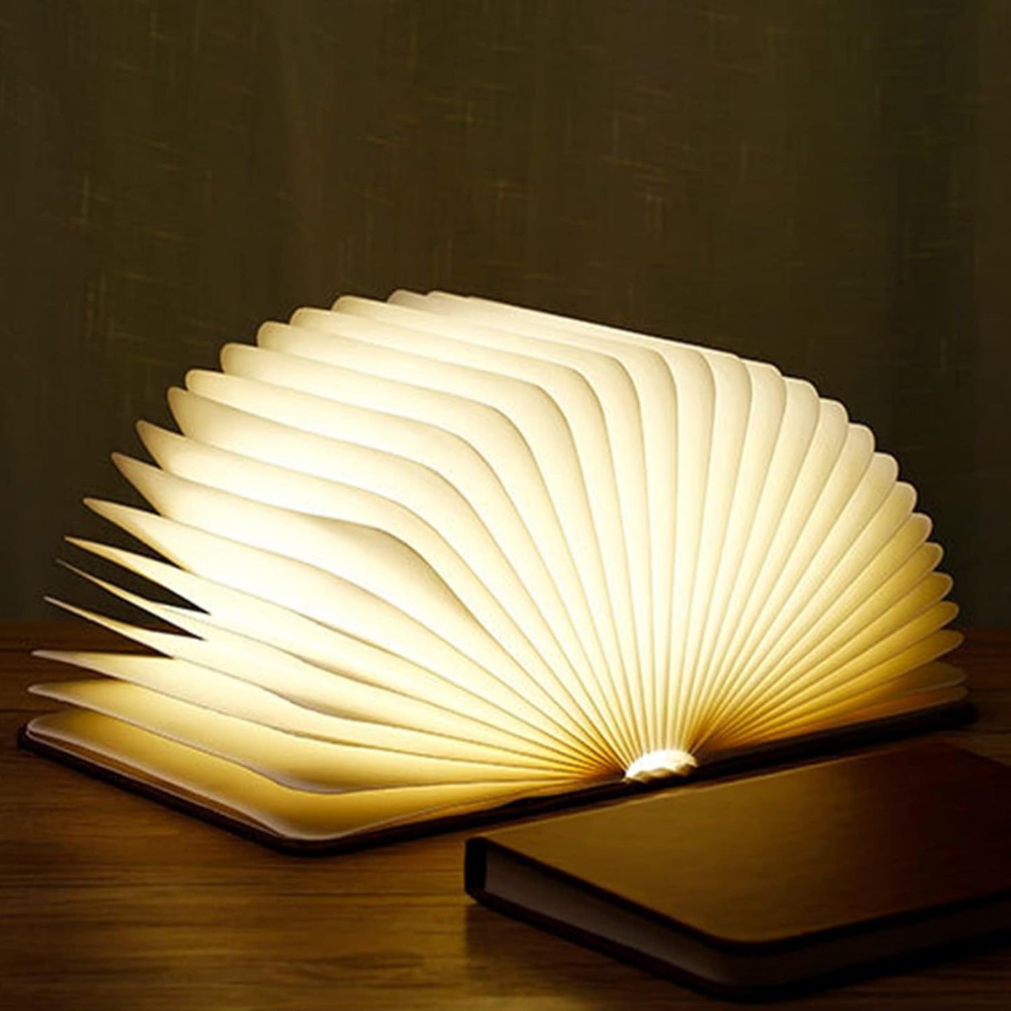 USB Rechargeable Book Lamp