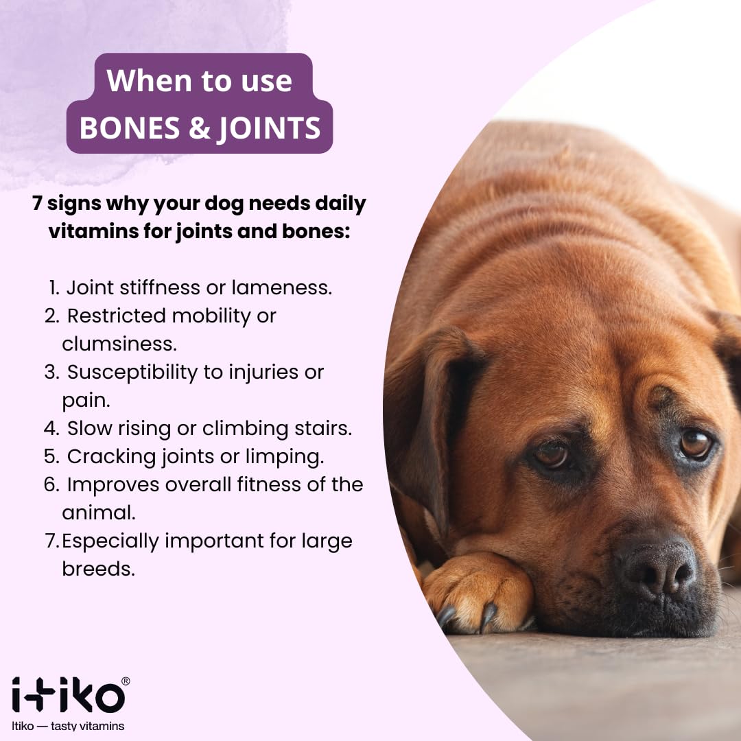 ITIKO Glucosamine Dog Supplements, Bone and Joint Supplement for Dogs with Green-Lipped Mussel, MSM, Chondroitin & Omega-3 | 100-120 PCS of Chews for All Breeds Size