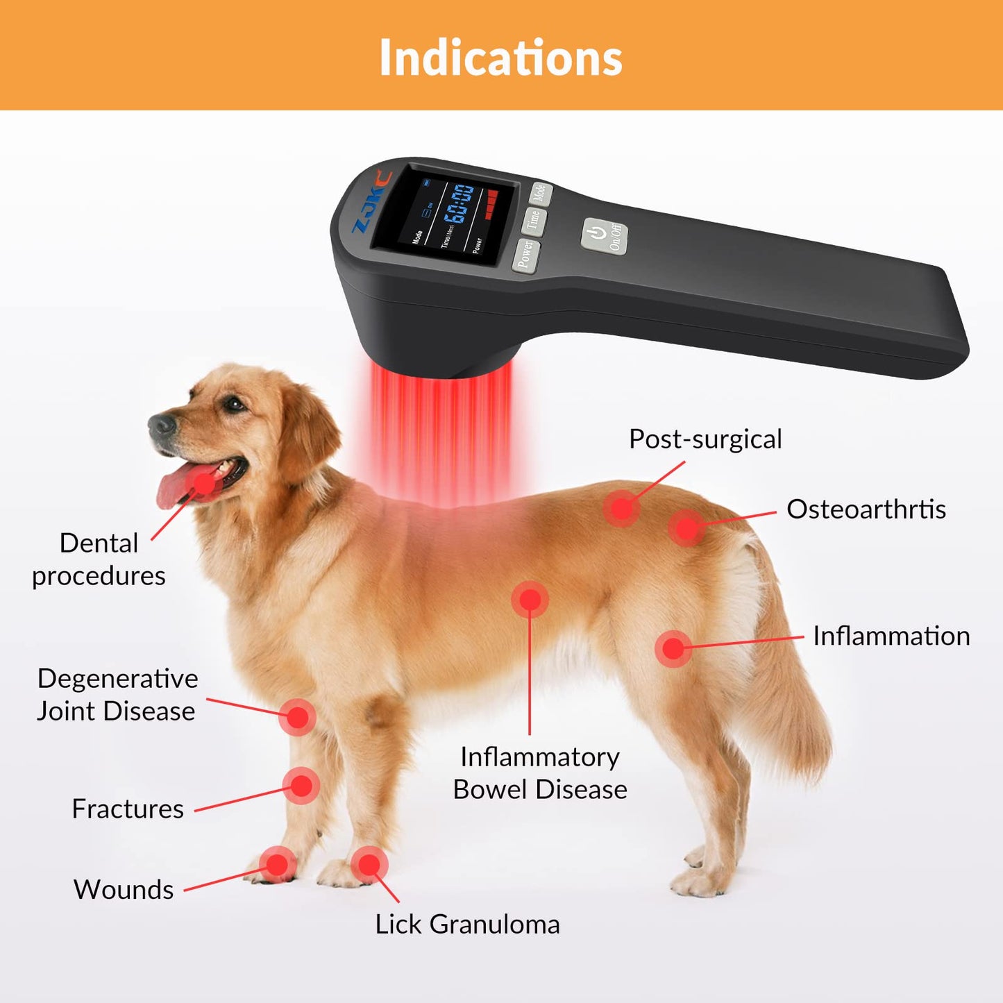 ZJKC Cold Laser Therapy Device for Muscle & Joint, 4x808nm+16x650nm, Pain Relief, Accelerate Healing, Home Light Therapy for Dogs, Cats, Horses and Animals(Black) - Medaid International