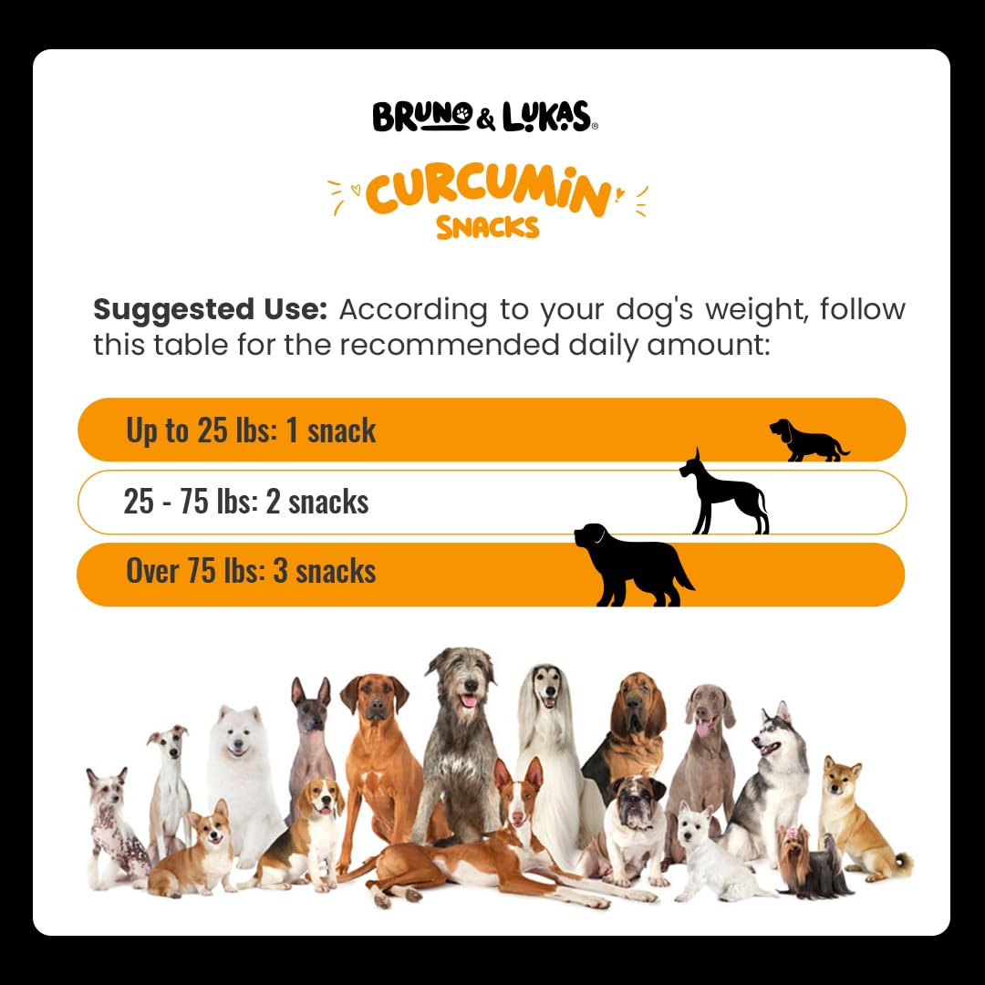 Turmeric Treats for Dogs – Turmeric Curcumin Supplement with MSM, Coconut Oil & Vitamin E – Hip & Joint Support Supplement for Pain Relief, Arthritis, Mobility & Anti-Inflammatory for Dogs – 90 Chews