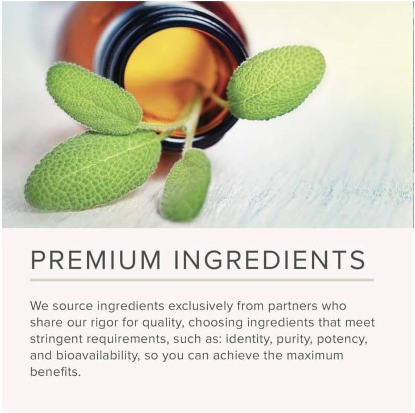 NusaPure Berberine HCI 20:1 Extract, 225 mg Equivalent to 4,500mg - 200 Veggie Caps - (Vegetarian, Non-GMO, Vegan) - Medaid International