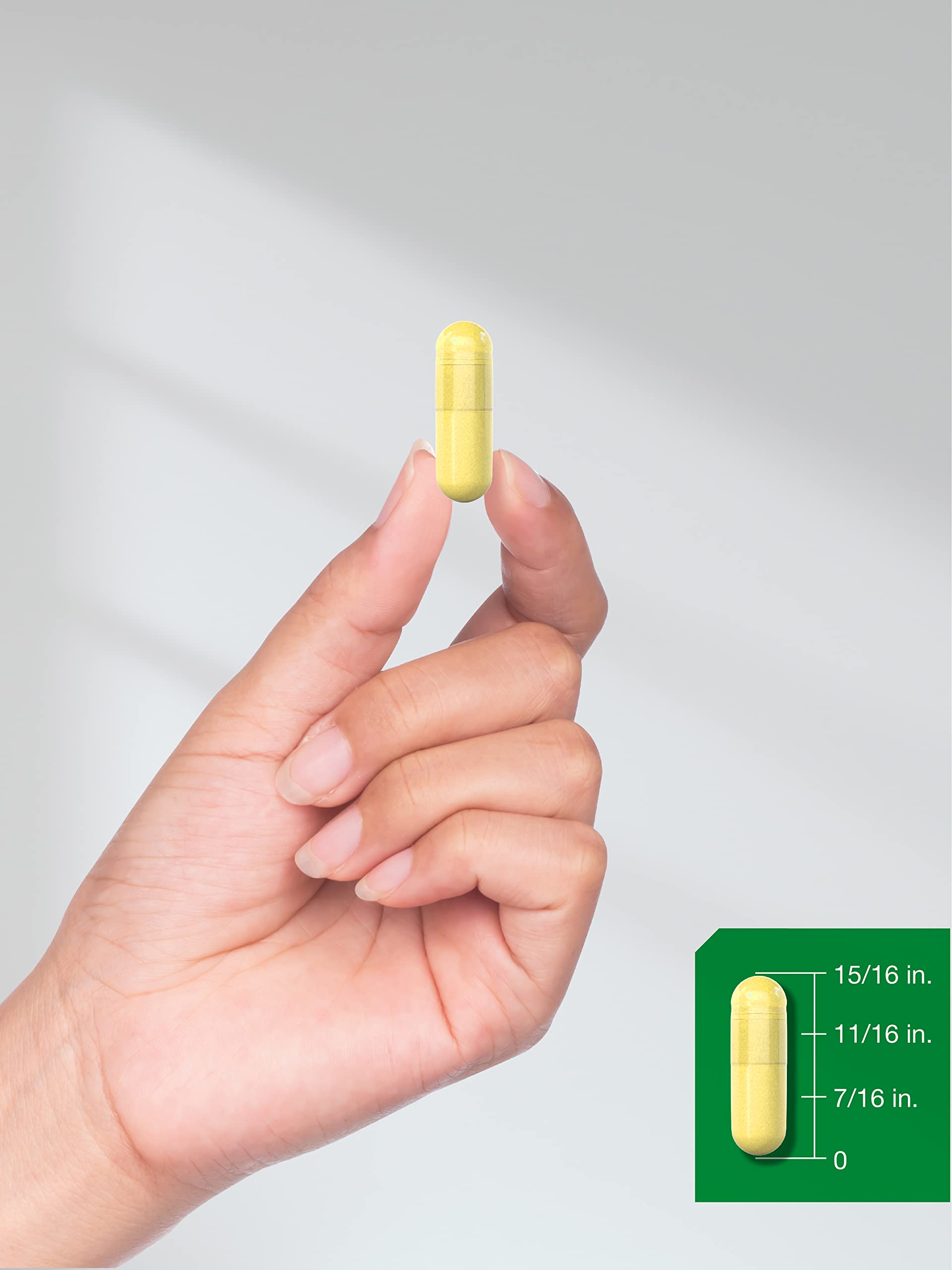 Horbaach Berberine HCL Supplement | 500mg | 120 Capsules | from Barberry Extract | Therapeutic Grade | Vegetarian, Non-GMO, Gluten Free - Medaid International