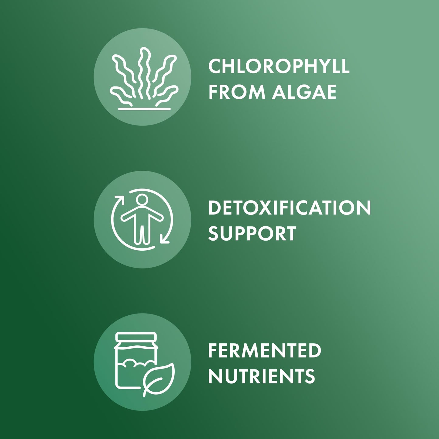 Dr. Mercola Fermented Chlorella with Chlorophyll, 90 Servings (450 Tablets), Dietary Supplement, Supports Immune and Organ Health, Non GMO, NSF Certified - Medaid International