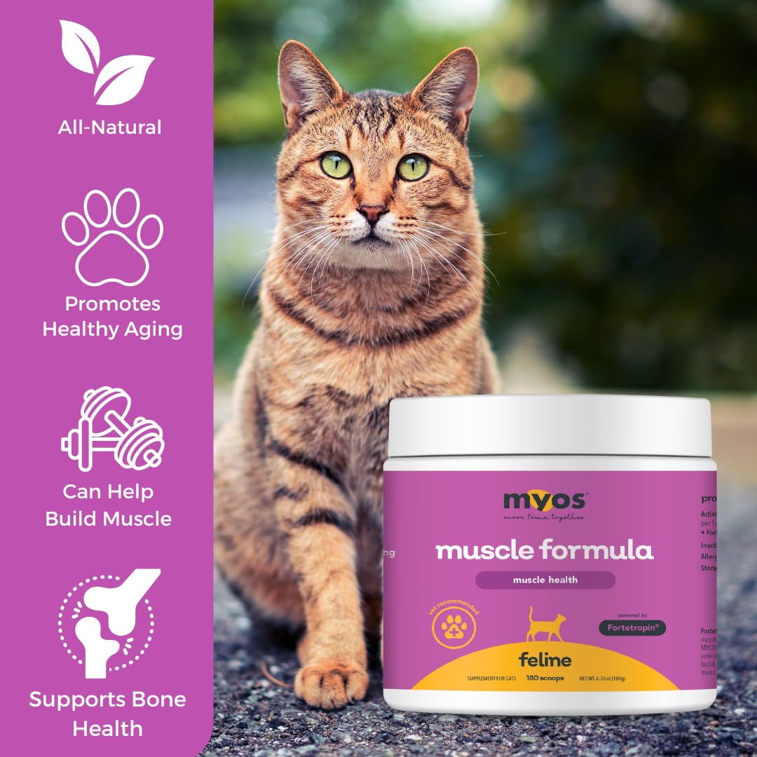 MYOS Feline Muscle Formula - Powered by Fortetropin for Senior Cats - Aids Weight Gain, Muscle Growth & Mobility Support - Natural, Cat Nutritional Supplement - 180 Servings - Medaid International