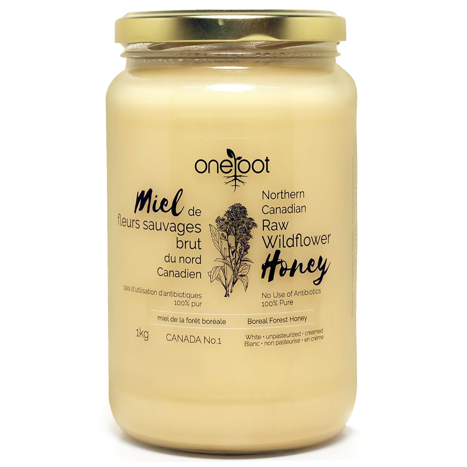 Oneroot 100% Canadian Wildflower Honey - 1kg / 2.2lbs, Unheated & Creamed - Nutrient-Rich, Natural Sweetener with Enzymes - Thick & Pure Raw Unfiltered Honey - Medaid International