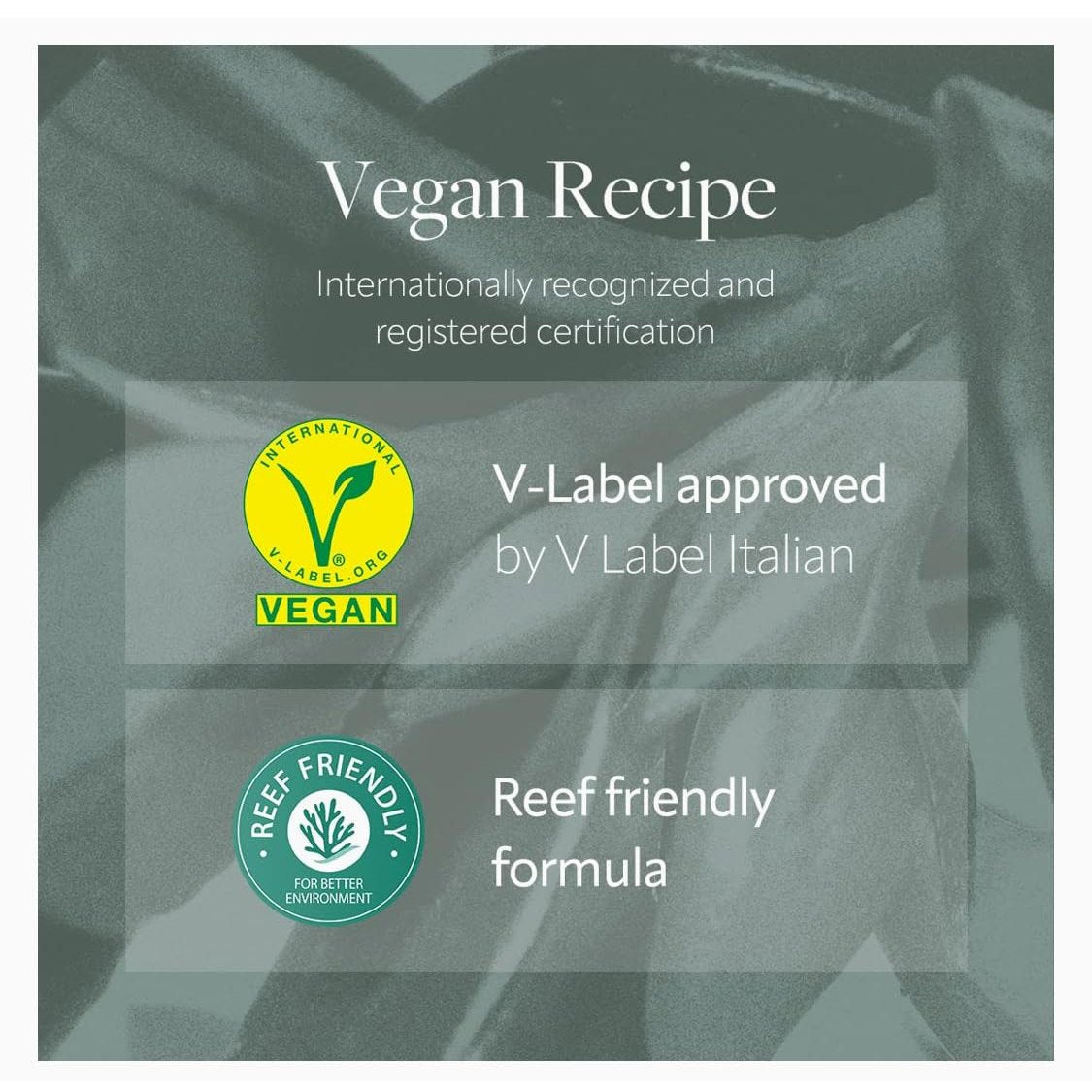 Korea Vegan Skincare_New Italian White Truffle Essence Tone-up & Moisturizer Sun Cream 50ml/1.69 fl.oz SPF 50+/ PA++++ - Medaid International