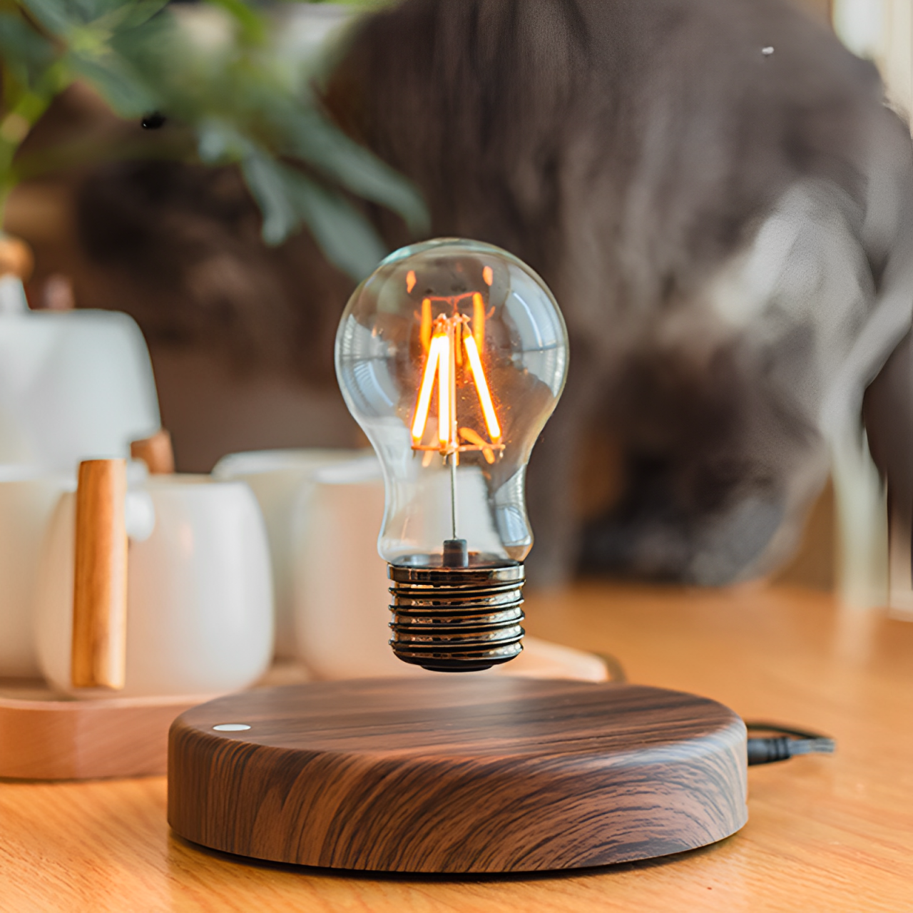 Floating Lamp