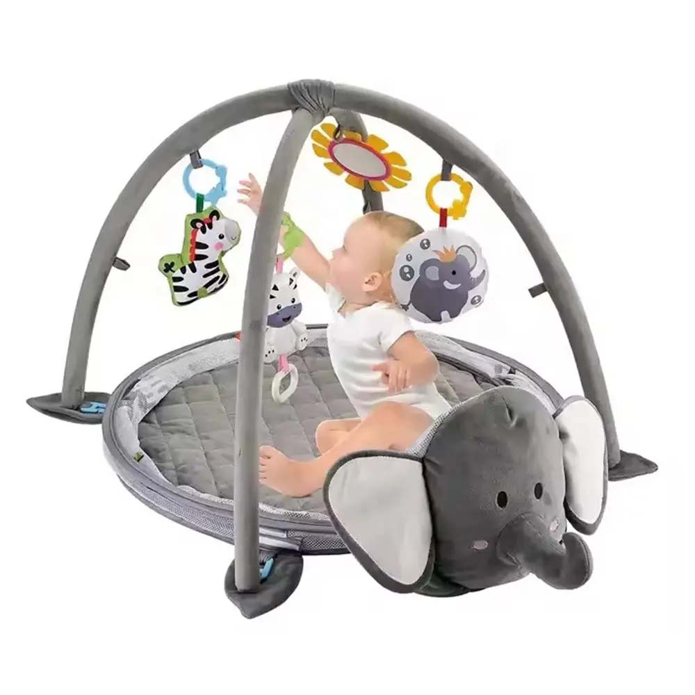 Activity Gym & Ball Pit
