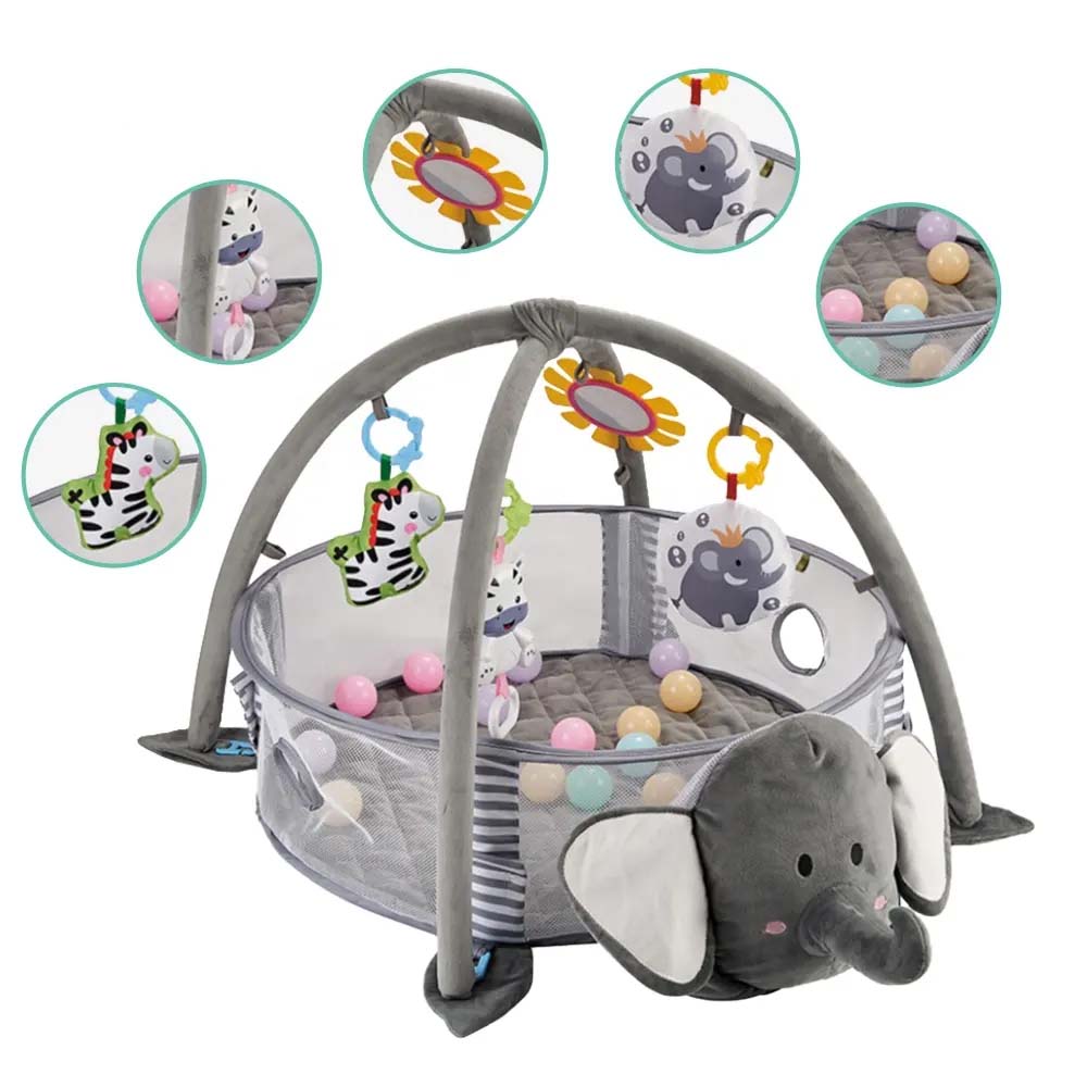 Activity Gym & Ball Pit