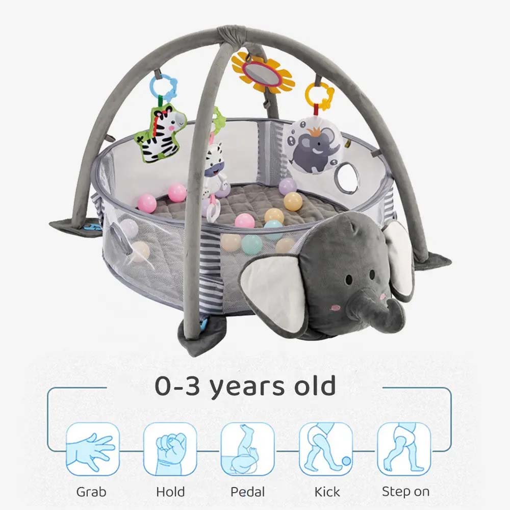 Activity Gym & Ball Pit
