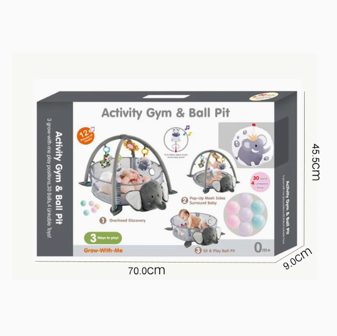 Activity Gym & Ball Pit