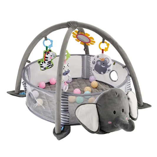 Activity Gym & Ball Pit