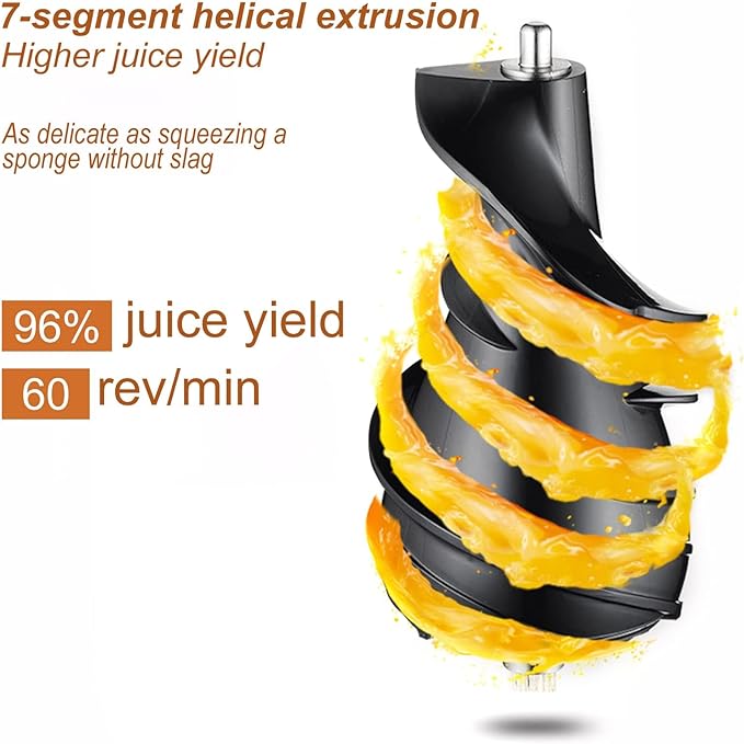 Slow Juicer