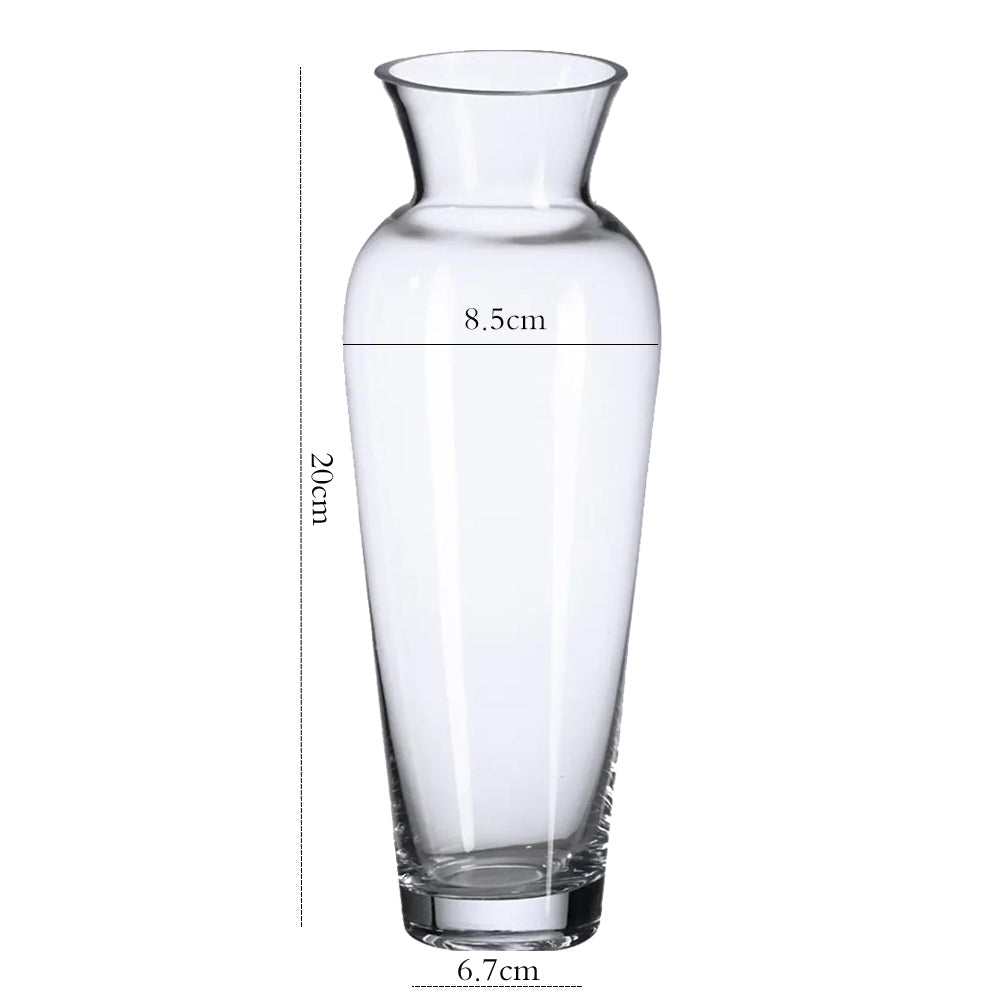 Danny Home Clear Glass Plant Vase 20-cm