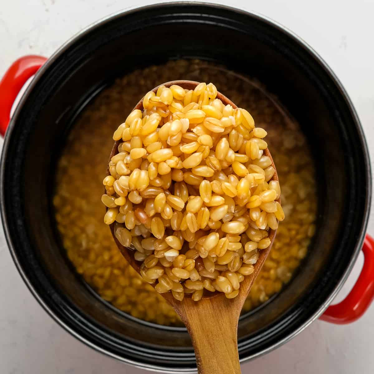 Peeled Wheat | Whole Grain Essentials | Munchies Food Collection