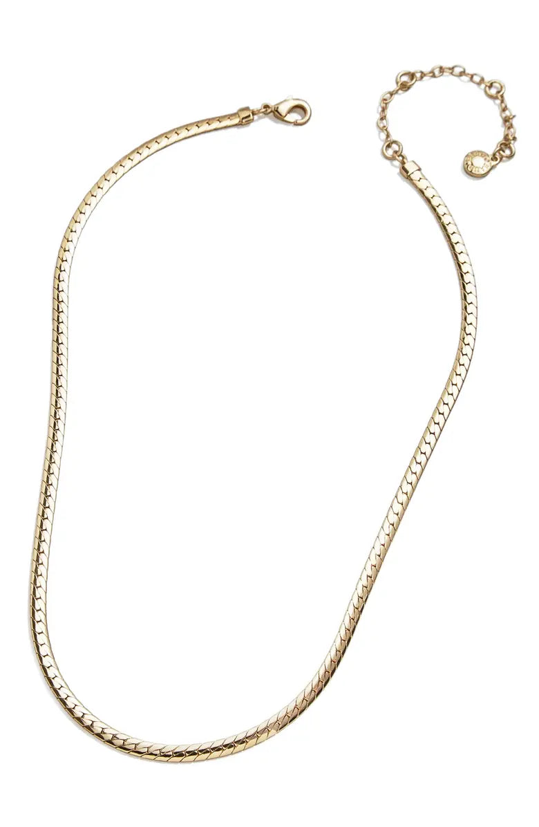 BaubleBar Women's Gold Snake Chain Necklace|BaubleBar Scott In Lebanon