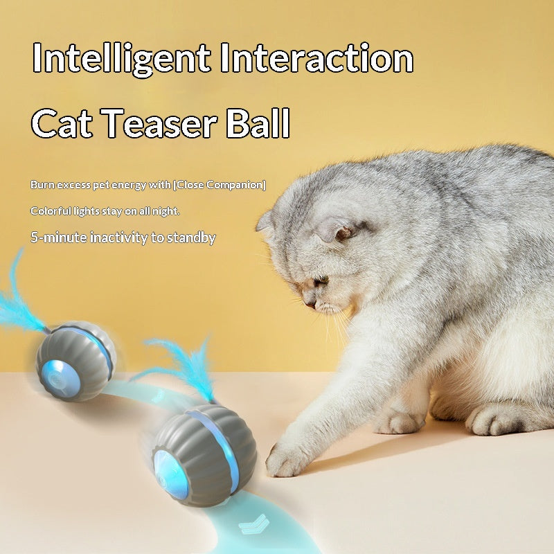 Interactive Dog/Cat Toy Ball USB Rechargeable Automatic Moving Rolling DP168 Mix Color