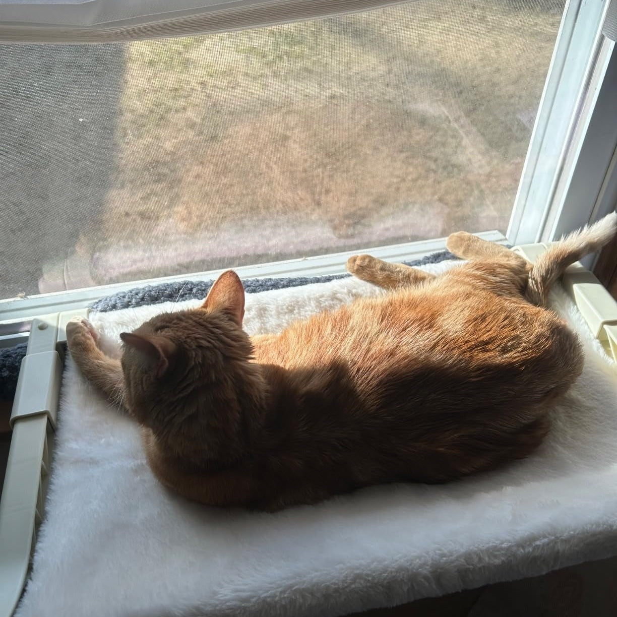 MEWOOFUN Window Sill Perch for Indoor Cats hammock