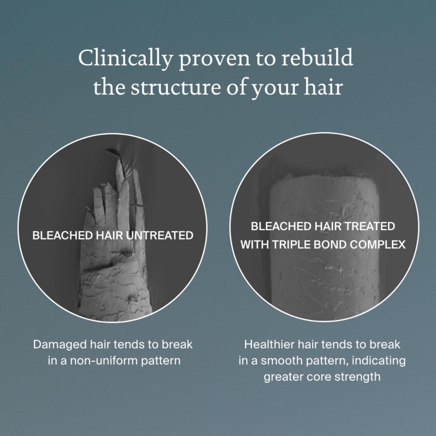 Living Proof Triple Bond Complex Leave-In Treatment and Hair Mask for All Hair Types – Rebuilds Hair Structure, Repairs Damage, Heat Protection, Long-Lasting Results, 1.7 oz - Medaid International