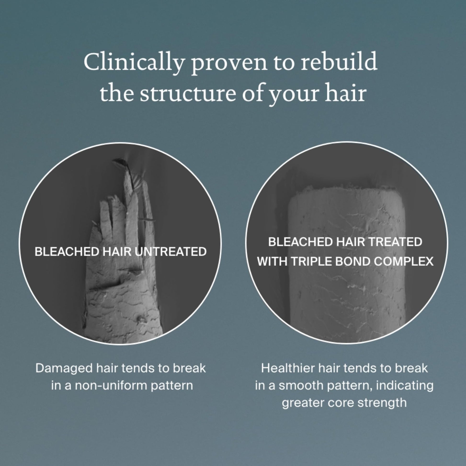 Living Proof Triple Bond Complex Leave-In Treatment and Hair Mask for All Hair Types – Rebuilds Hair Structure, Repairs Damage, Heat Protection, Long-Lasting Results, 1.7 oz - Medaid International