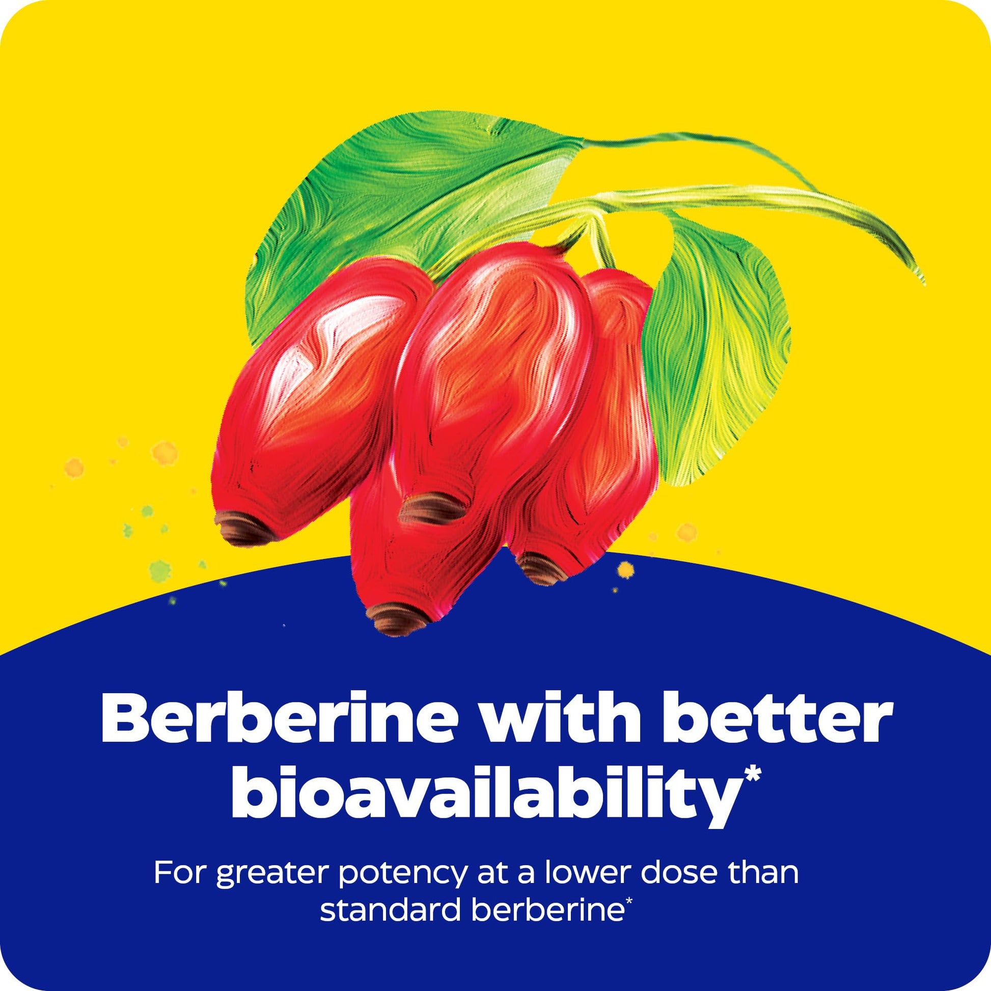 Enzymedica, Berberine Phytosome, 9.6X Better Bioavailability, High Potency Natural Vegan Dietary Supplement for Metabolic Support, 60 Capsules - Medaid International