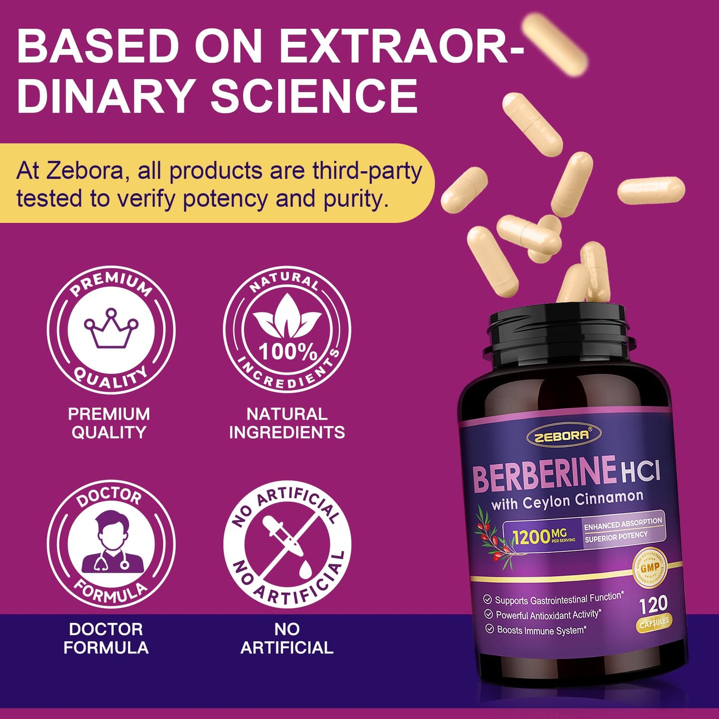 ZEBORA Premium Berberine HCL Supplement 1200 mg, Berberine GLP-1 Support with Ceylon Cinnamon, ALA & Capric Acid, Supports Immune & Antioxidant, Non-GMO, 120 Capsules - Medaid International