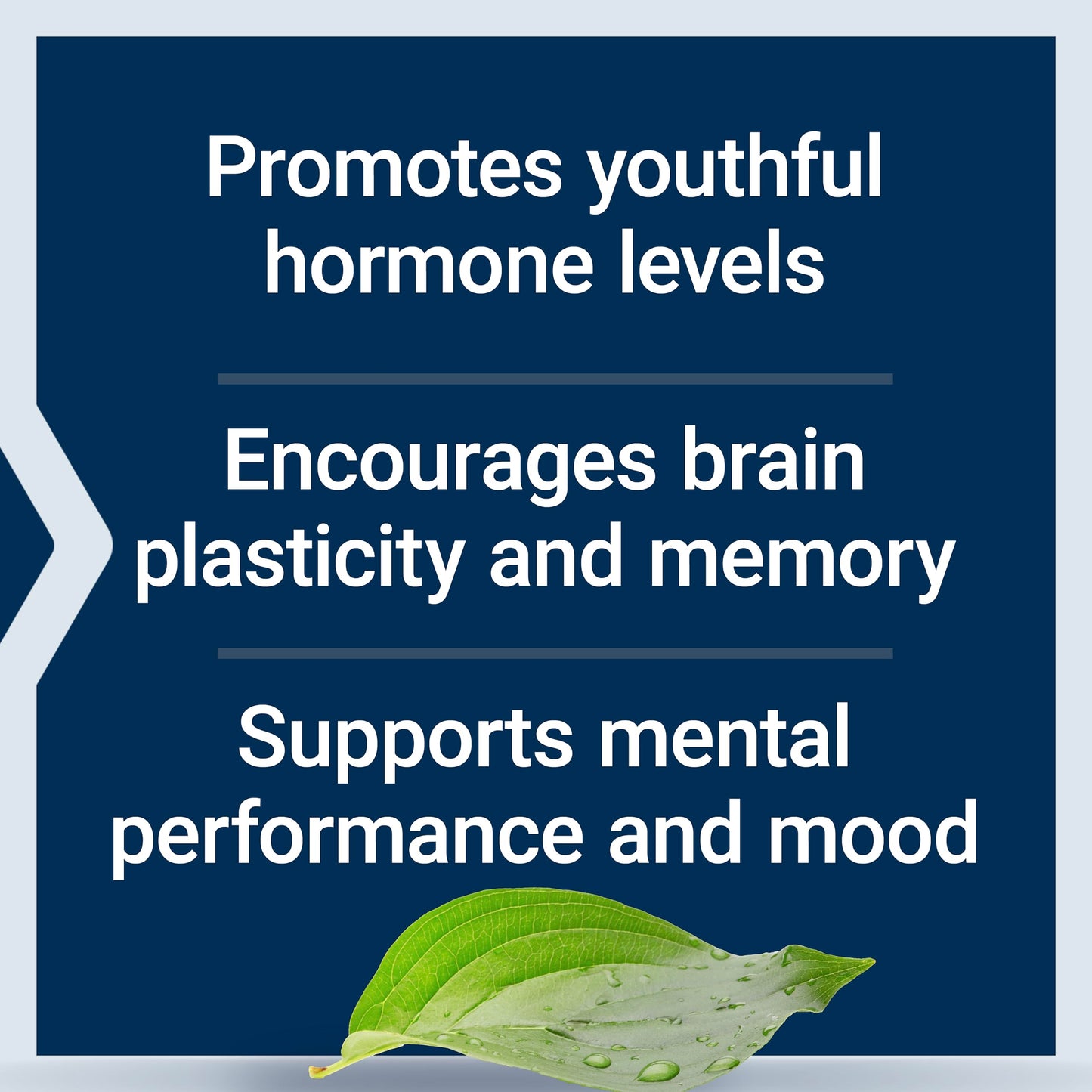 Life Extension Pregnenolone - Hormone Balance Supplement for Healthy Hormone Levels, 100 mg - Hormone Balance, Memory, Focus, Cognitive Health - Gluten-Free, Non-GMO, 100 Capsules - Medaid International