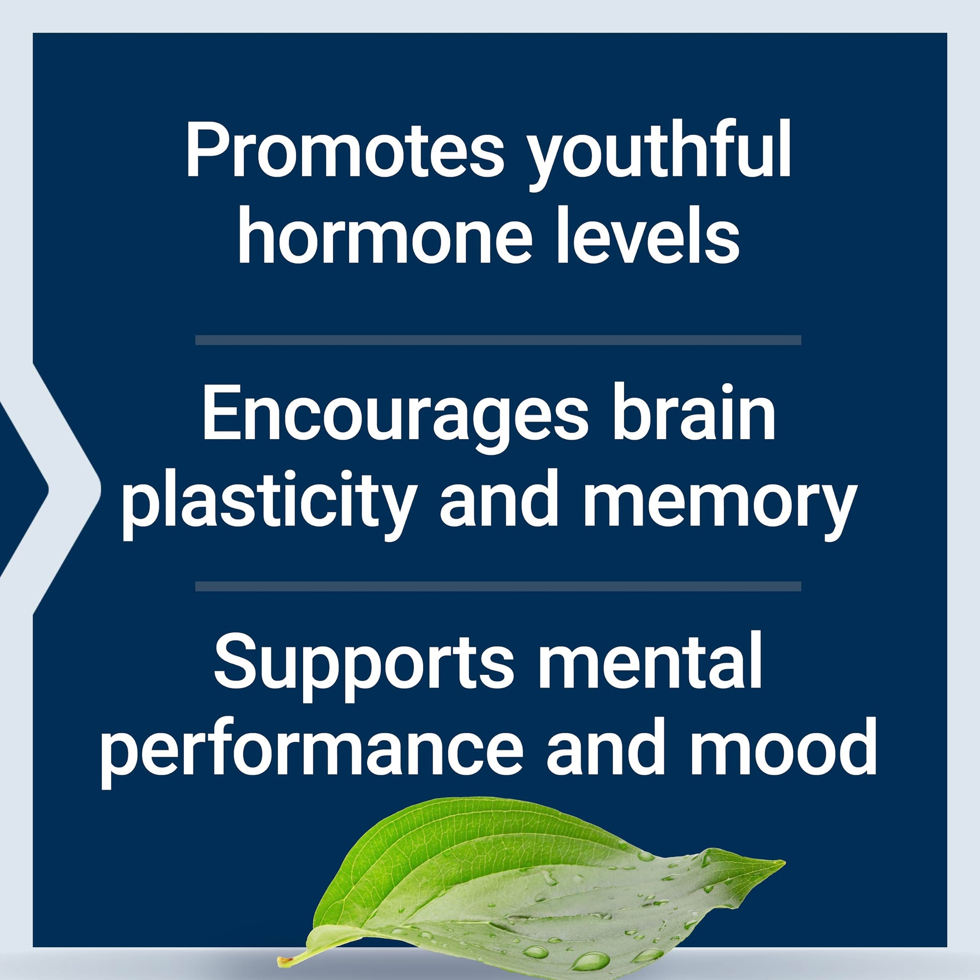 Life Extension Pregnenolone - Hormone Balance Supplement for Healthy Hormone Levels, 100 mg - Hormone Balance, Memory, Focus, Cognitive Health - Gluten-Free, Non-GMO, 100 Capsules - Medaid International