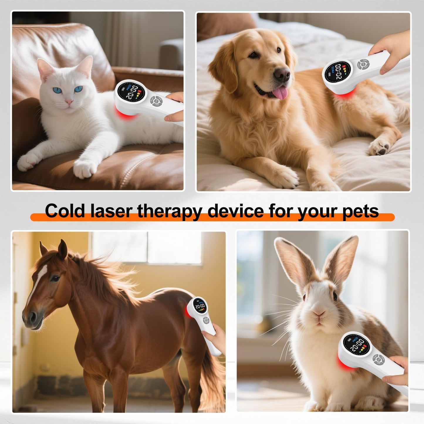 HIAiL Cold Laser Therapy Device for Dogs, Muscles and Joints Pain Relief, 4x980nm 4x810nm 16x660nm Veterinary Laser Therapy Machine for Cats, Horses and Animals, Laser Therapy Device for Pets at Home - Medaid International