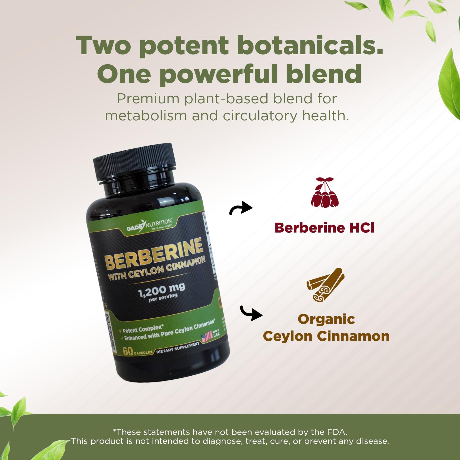 Gade Nutrition Berberine Supplement with Ceylon Cinnamon | Berberine Top Choice with Ceylon Cinnamon Capsules | Organic Veggie Capsules | USA Made - Medaid International