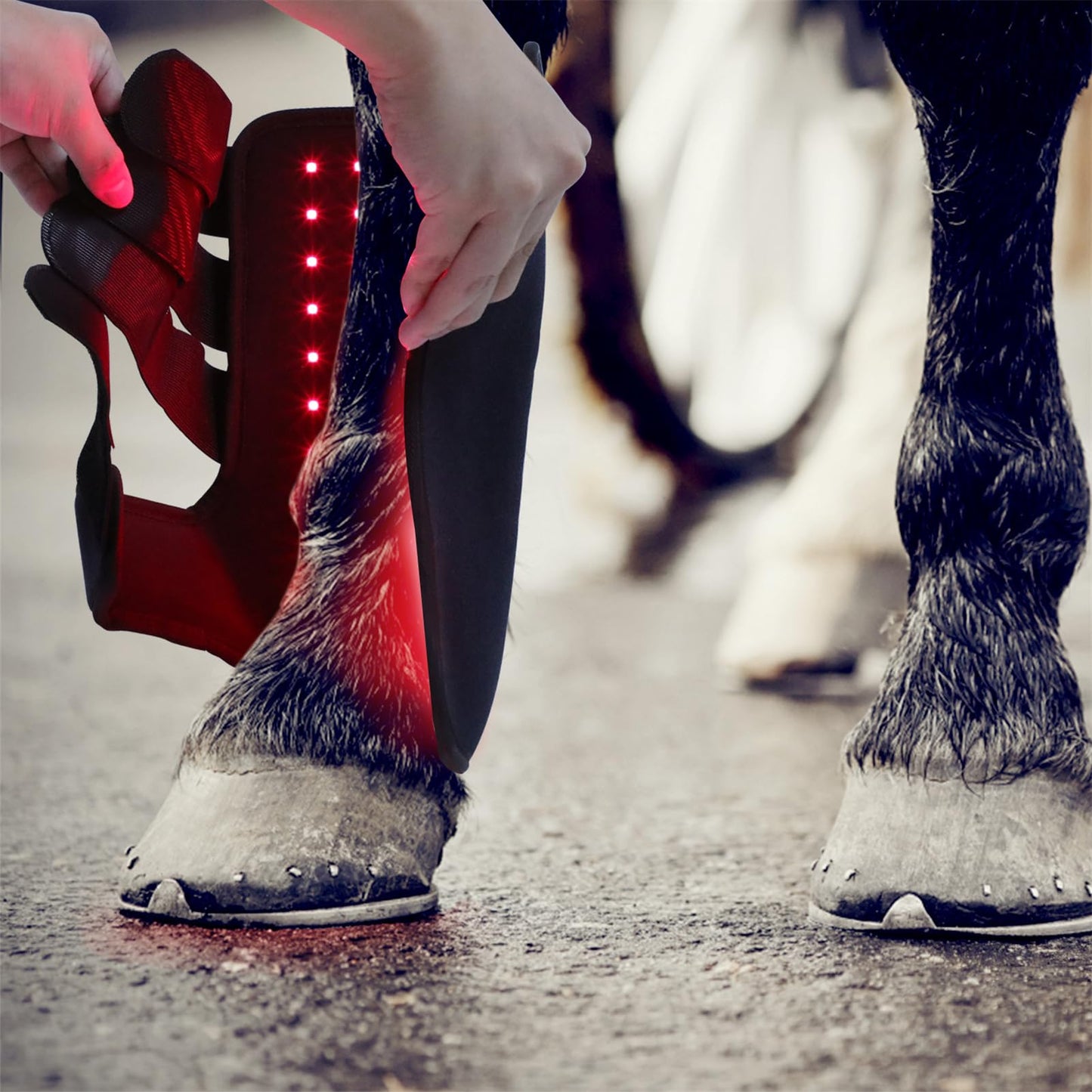 FSDLJSP Red Light Therapy for Horse Leg Stifle Pain, 850nm＆ 660nm Infrared Light Therapy Horses Boot, for Equine Muscle Recovery - Medaid International
