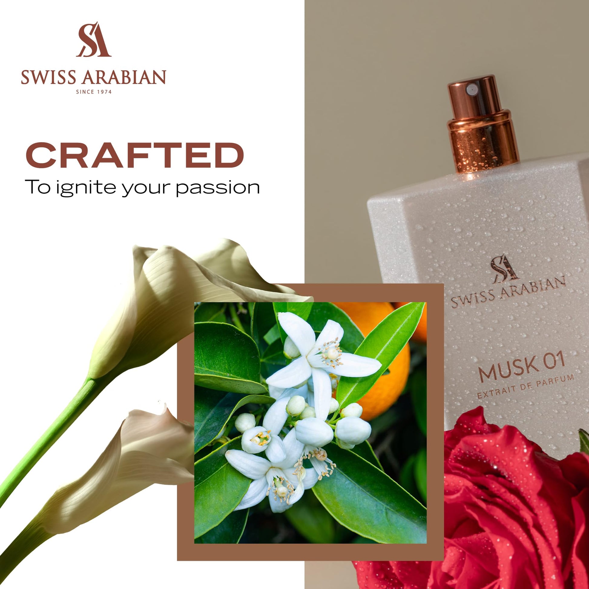 Swiss Arabian Musk 01 - Arabian Perfumes for Women and Men - Long Lasting Perfume - Spicy, Floral, Musk Perfume - Seductive Signature Aroma - 1.7 oz - Medaid International